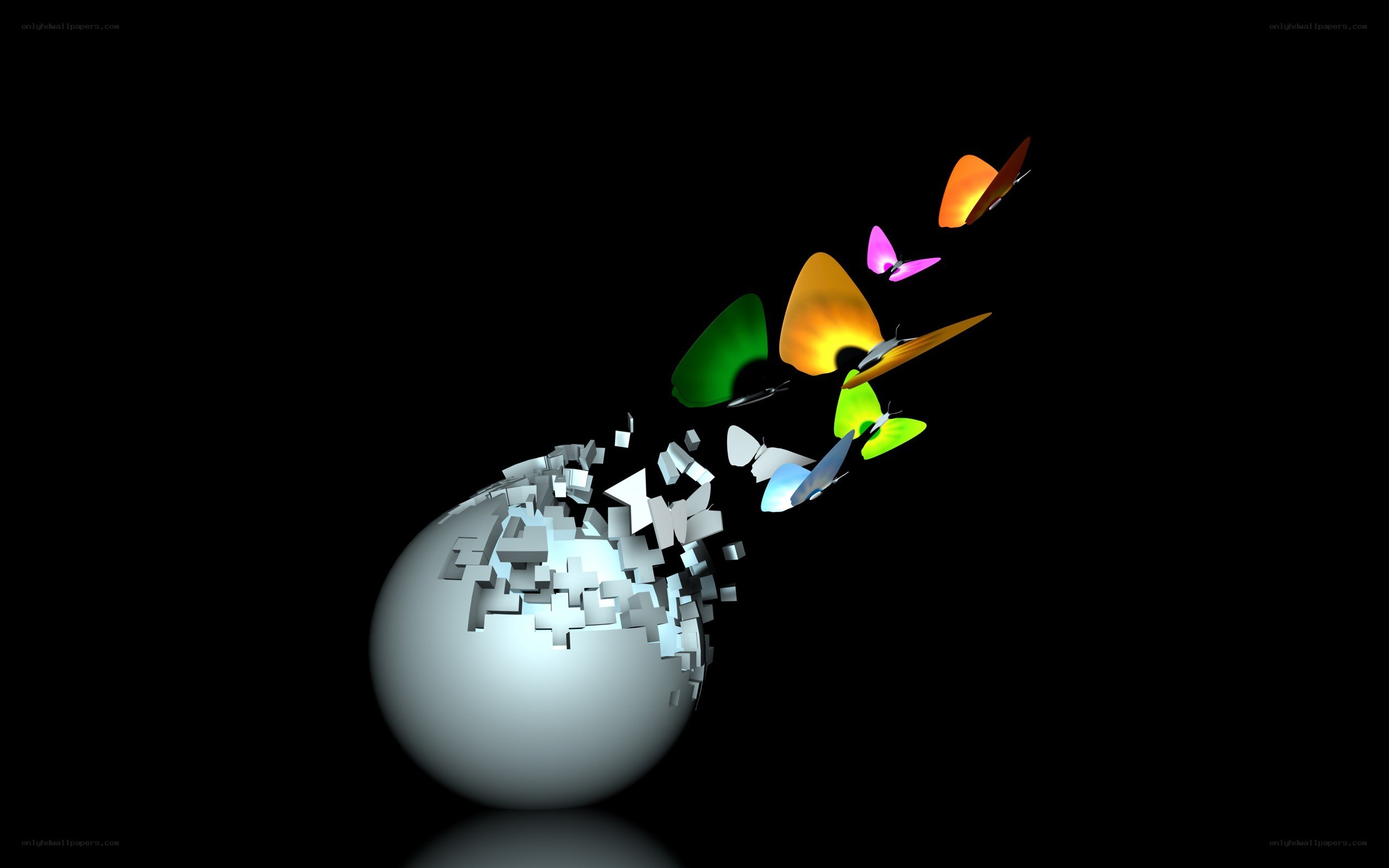 Colorful butterflies emerging from sphere
