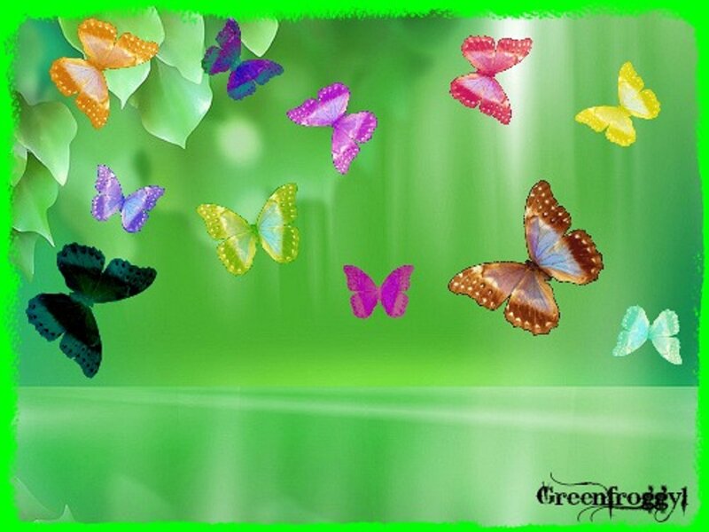 Colorful Butterflies Flying — Green, Serene