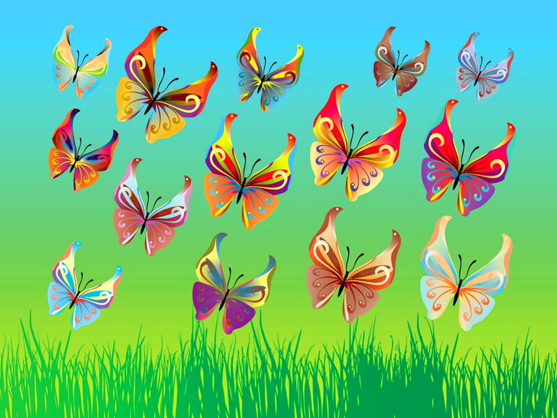 Colorful Butterflies Flying — Green