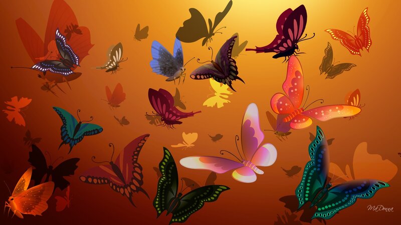 Colorful Butterflies Flying — Orange