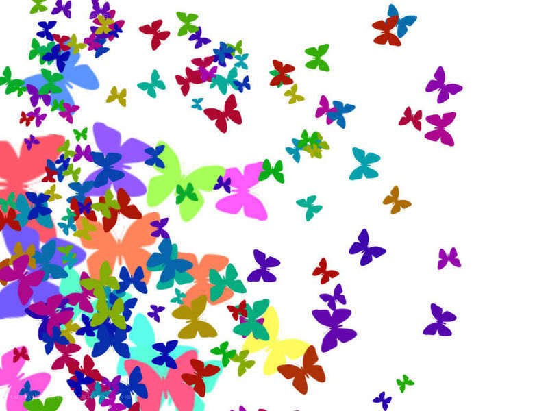 colorful butterflies flying
