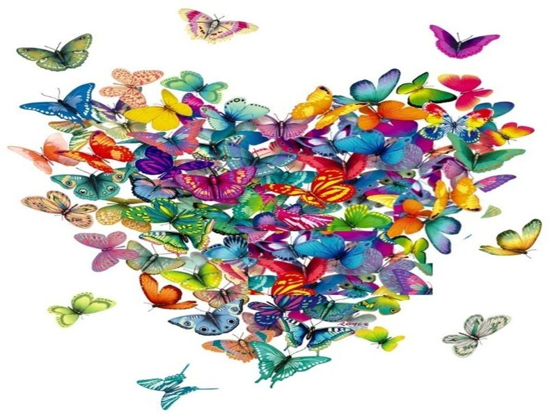 colorful butterflies forming a heart