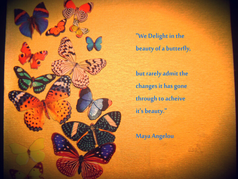 Colorful Butterflies — Gold