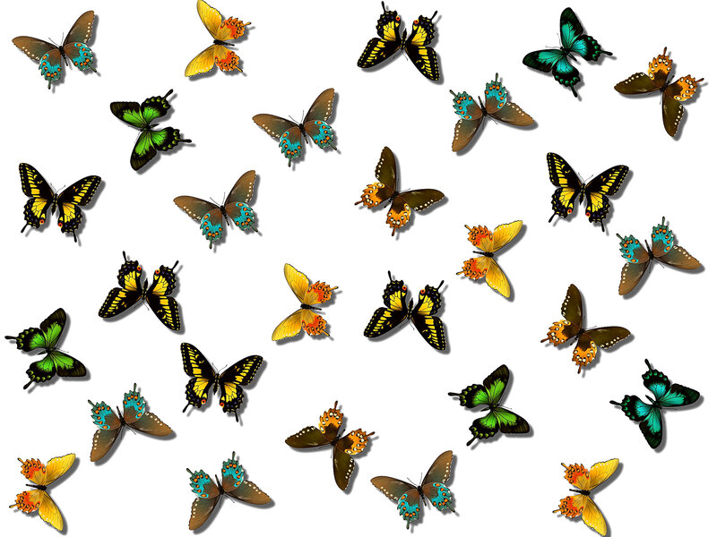 Colorful Butterflies — Green, Calm, Digital Art