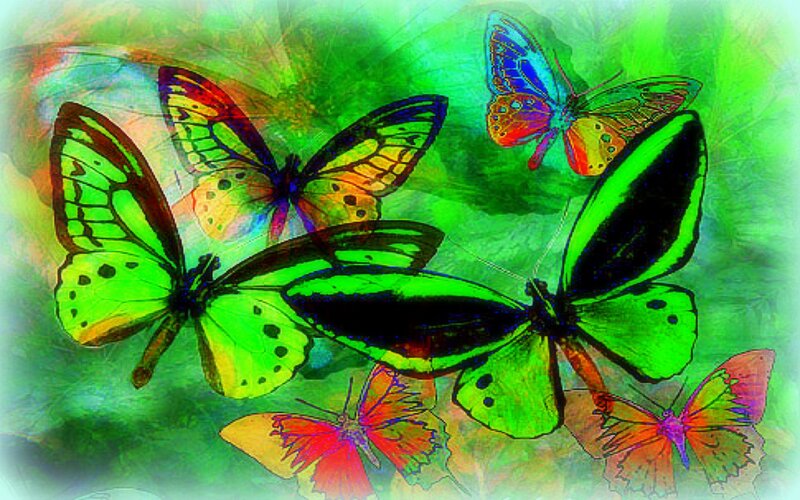 Colorful Butterflies — Green, Vibrant, Digital Art, Green Background, Artistic Effect