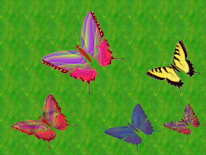 Colorful Butterflies — Green, Vibrant, Digital Art