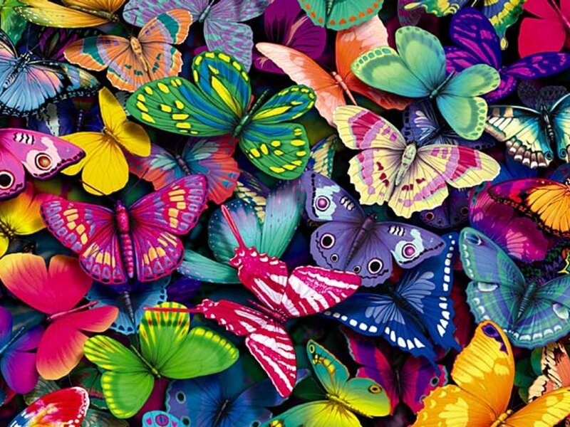 Colorful Butterflies — Green, Vibrant, Illustration