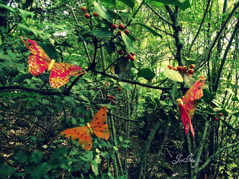 Colorful butterflies in a forest