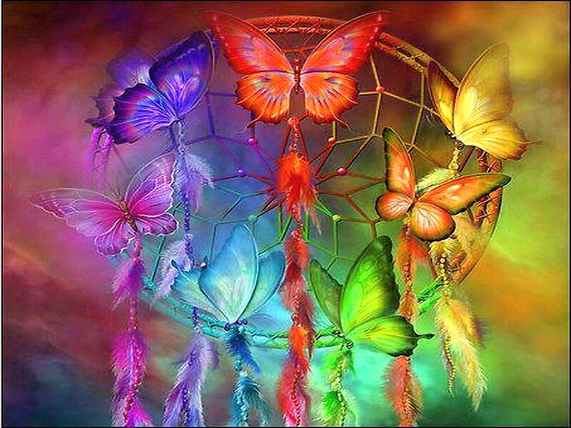 Colorful Butterflies in Dreamcatcher