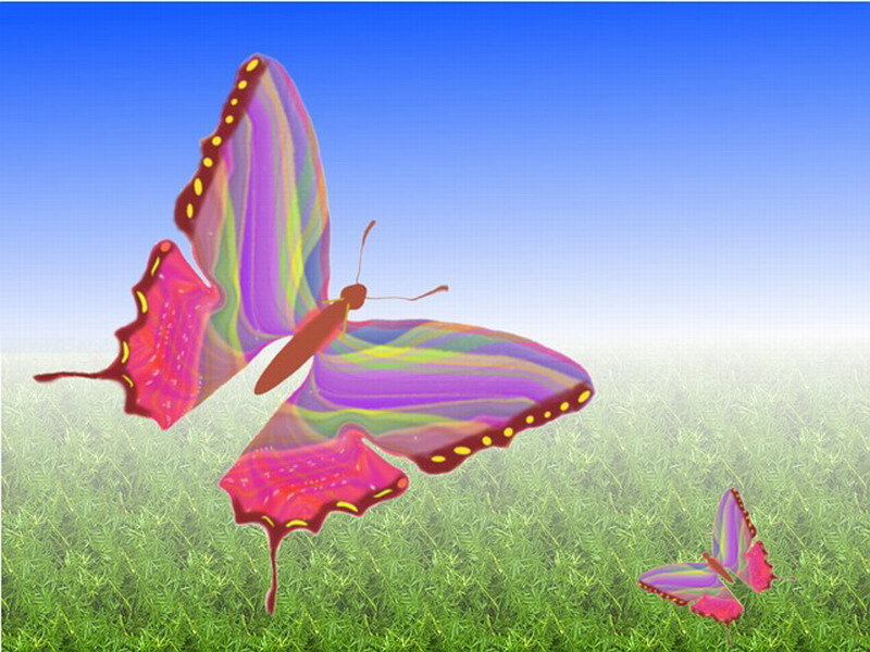 Colorful Butterflies in Field