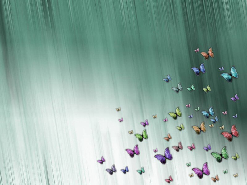 Colorful butterflies in flight