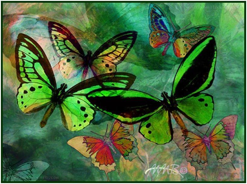 Colorful butterflies in flight