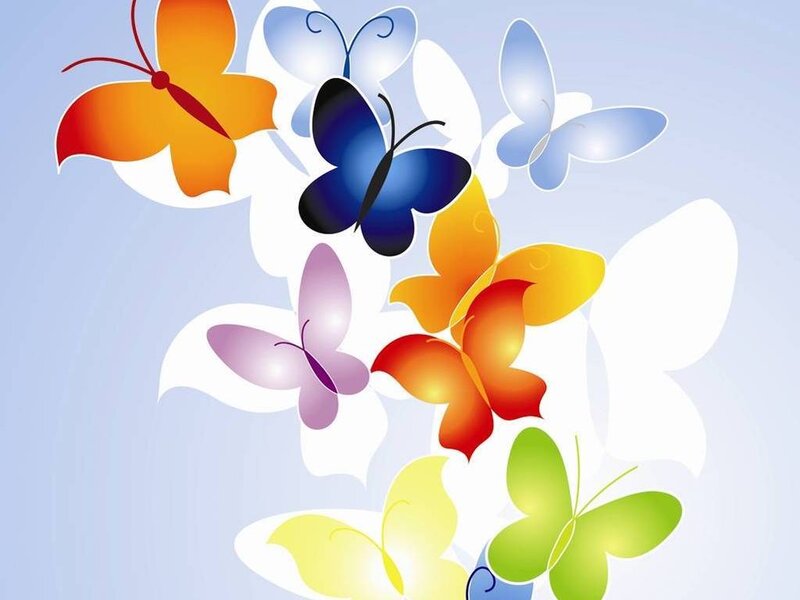 Colorful butterflies in flight