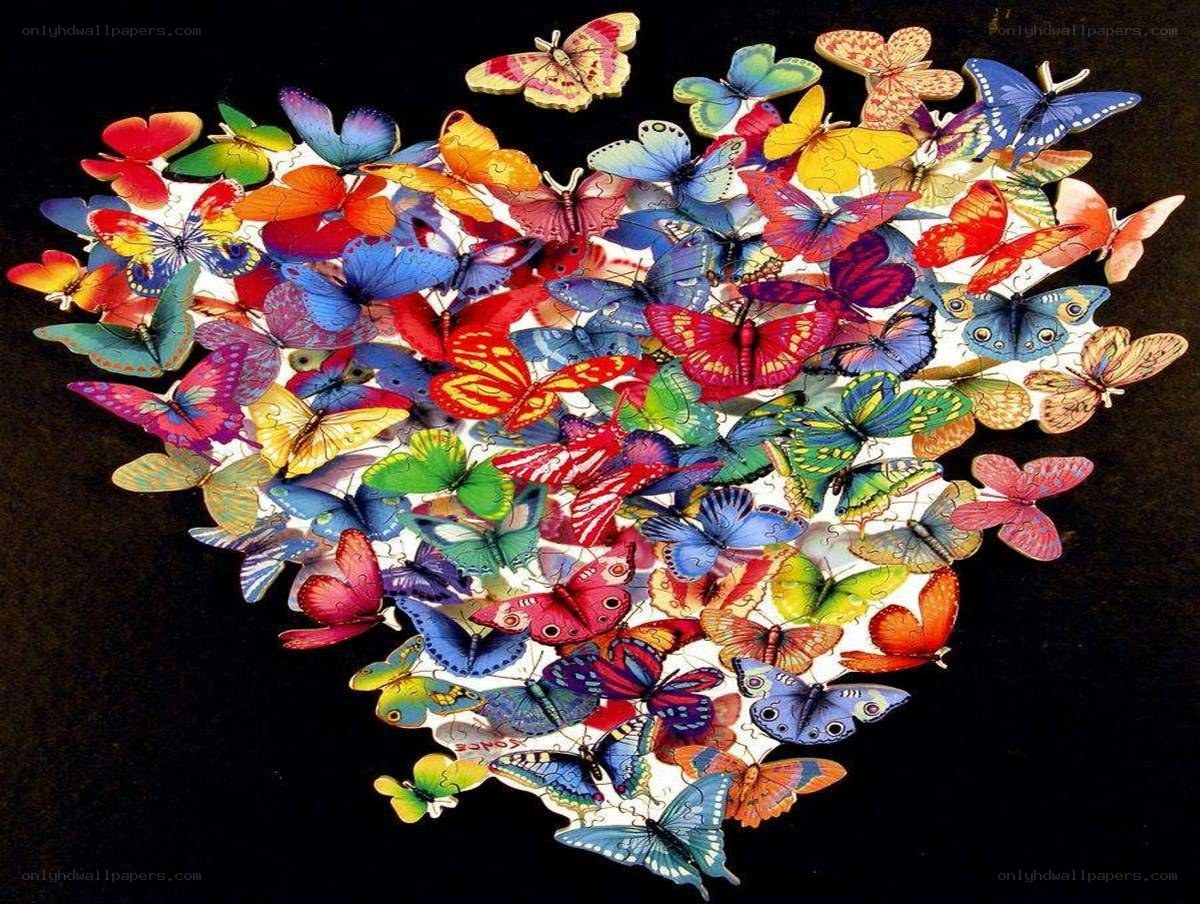 colorful butterflies in heart shape