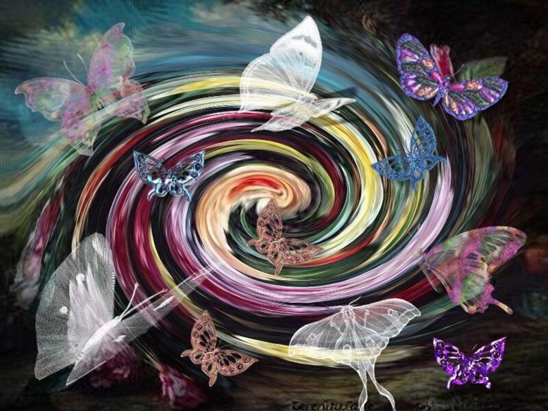 Colorful Butterflies in Swirl