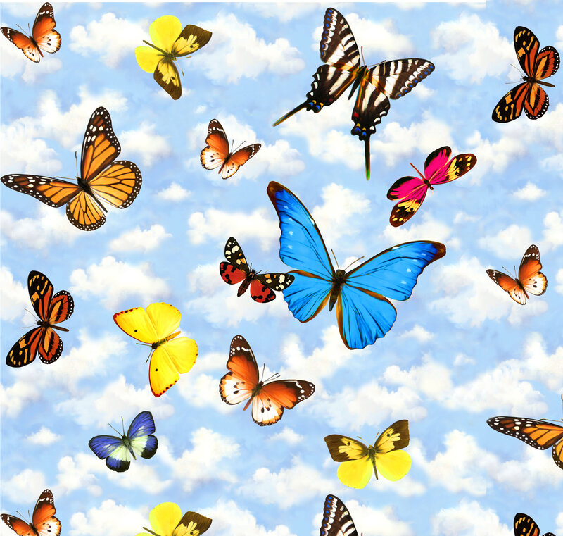Colorful butterflies in the sky