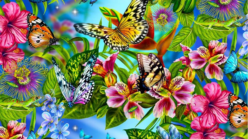 Colorful butterflies in tropical garden