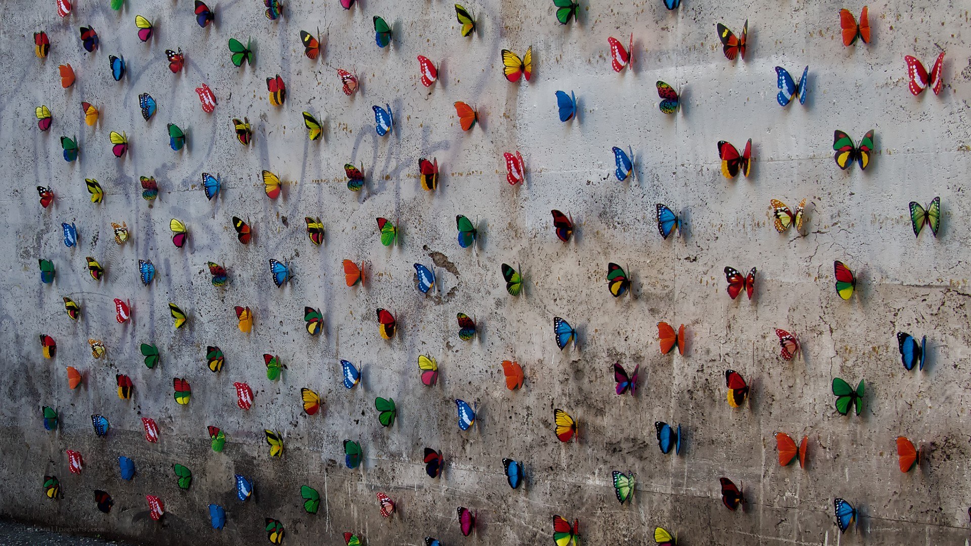 Colorful butterflies on a wall