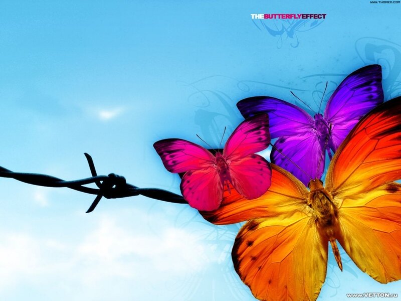 Colorful Butterflies on Barbed Wire — Blue