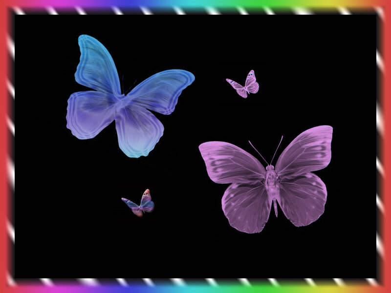 colorful butterflies on black