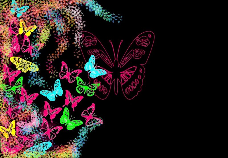 colorful butterflies on black