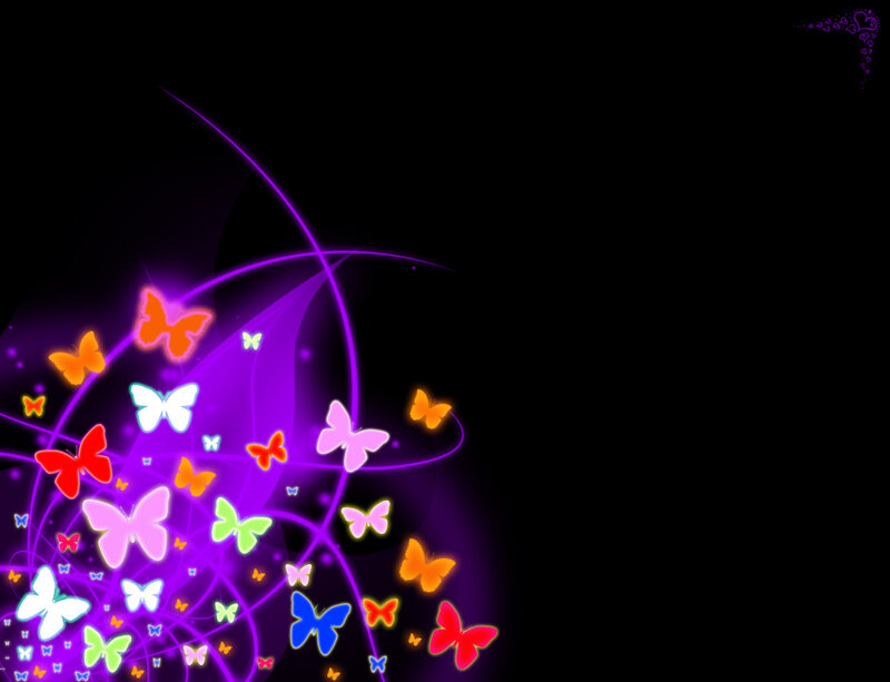 colorful butterflies on black