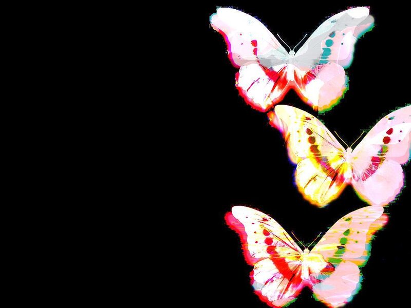 colorful butterflies on black