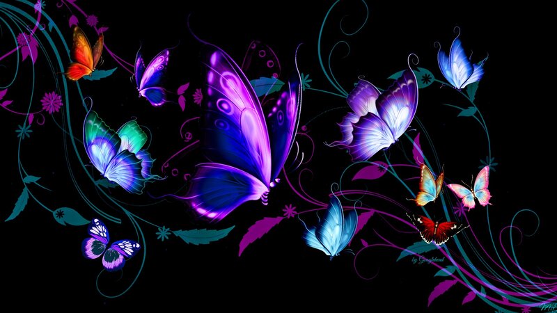 Colorful Butterflies on Black — Purple