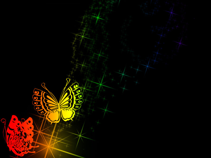 colorful butterflies on black