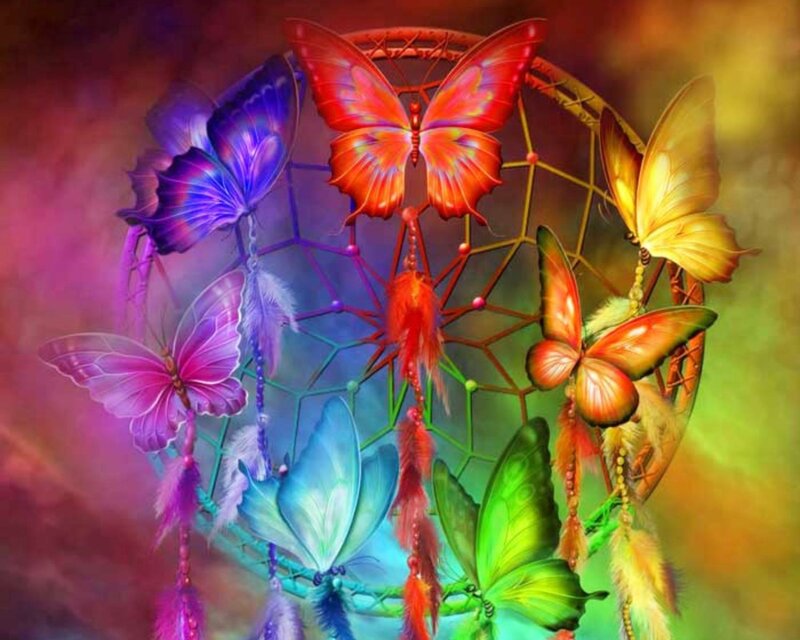 Colorful Butterflies on Dreamcatcher