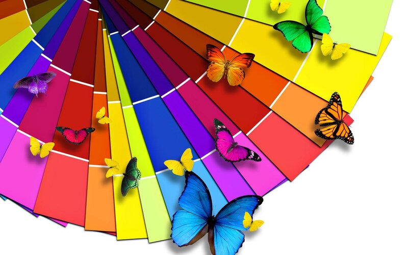 Colorful butterflies on paint swatches