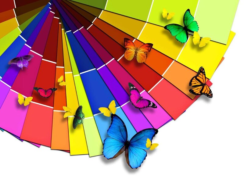 colorful butterflies on paint swatches