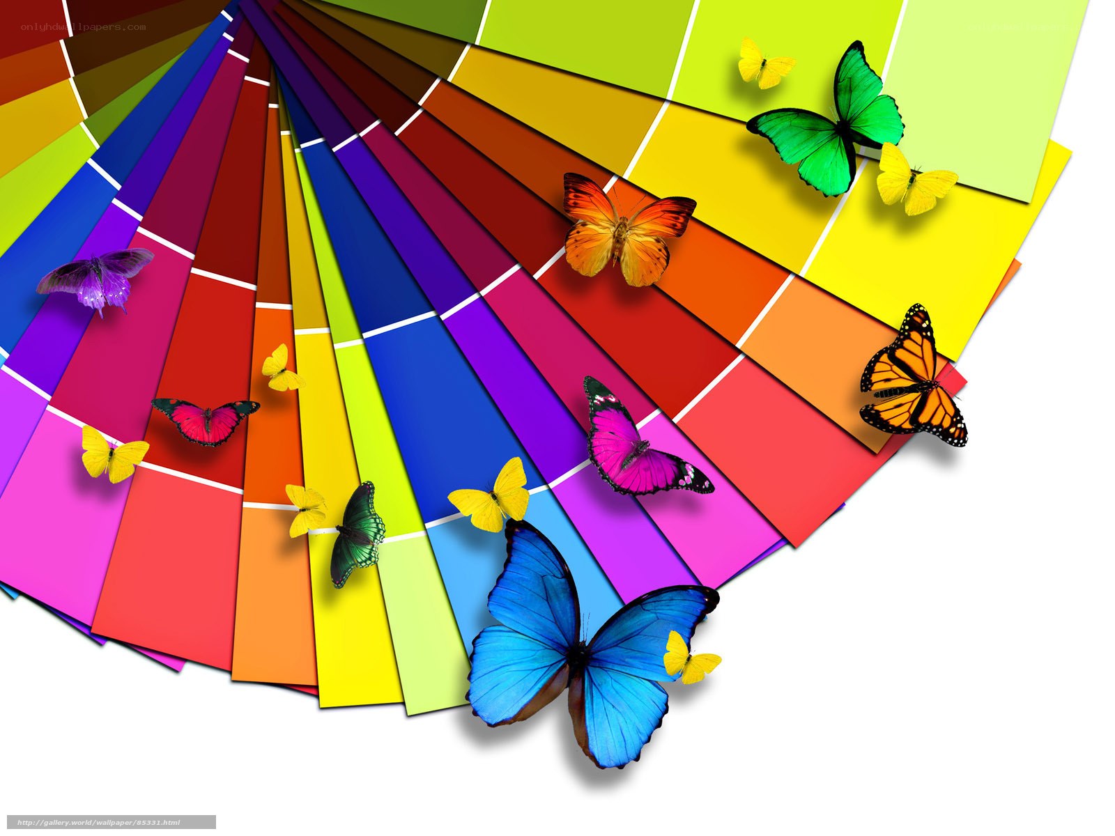 Colorful butterflies on paint swatches