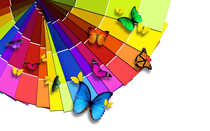 colorful butterflies on palette