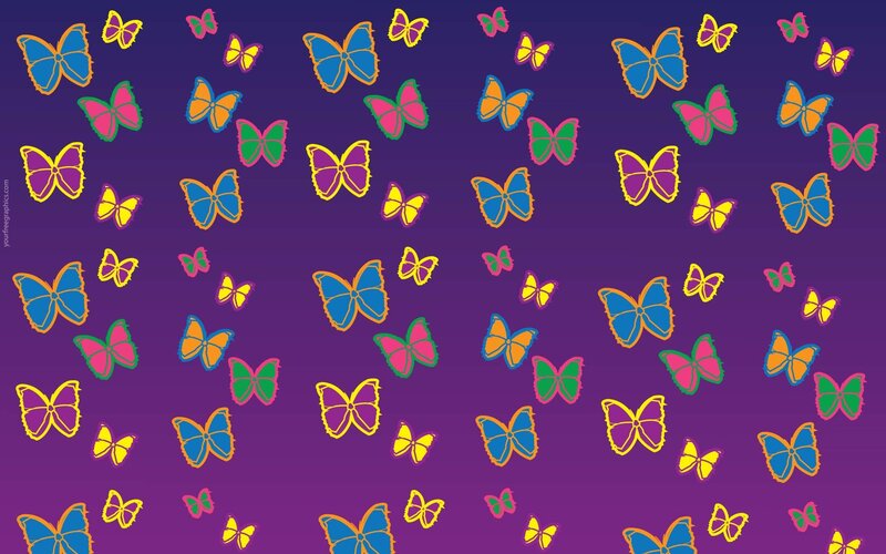 Colorful Butterflies on Purple