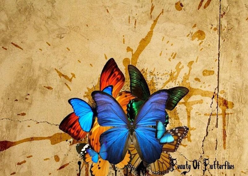 Colorful butterflies on textured background