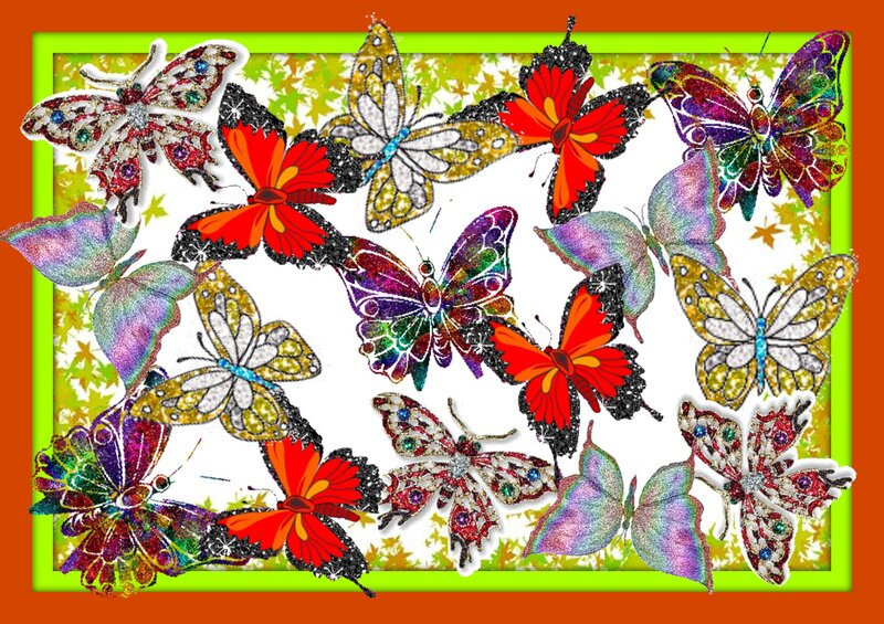 Colorful Butterflies — Orange, Vibrant