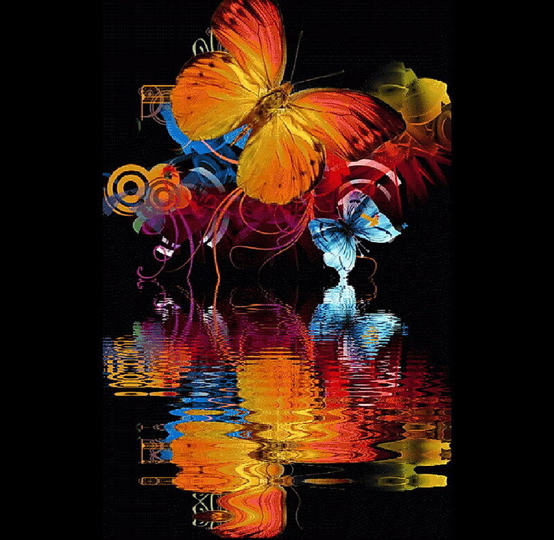 Colorful butterflies over water