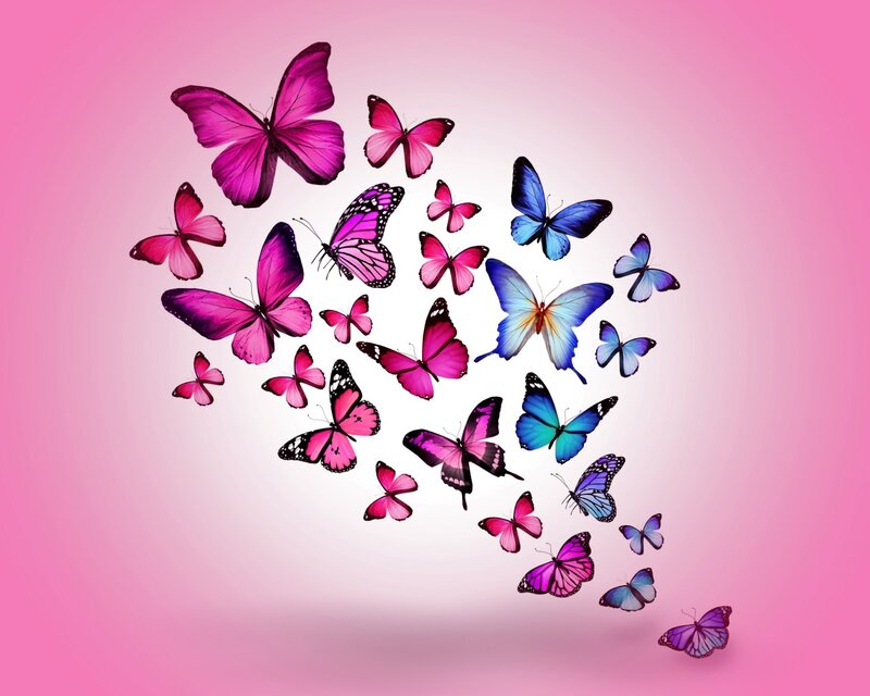 Colorful Butterflies — Pink, Serene