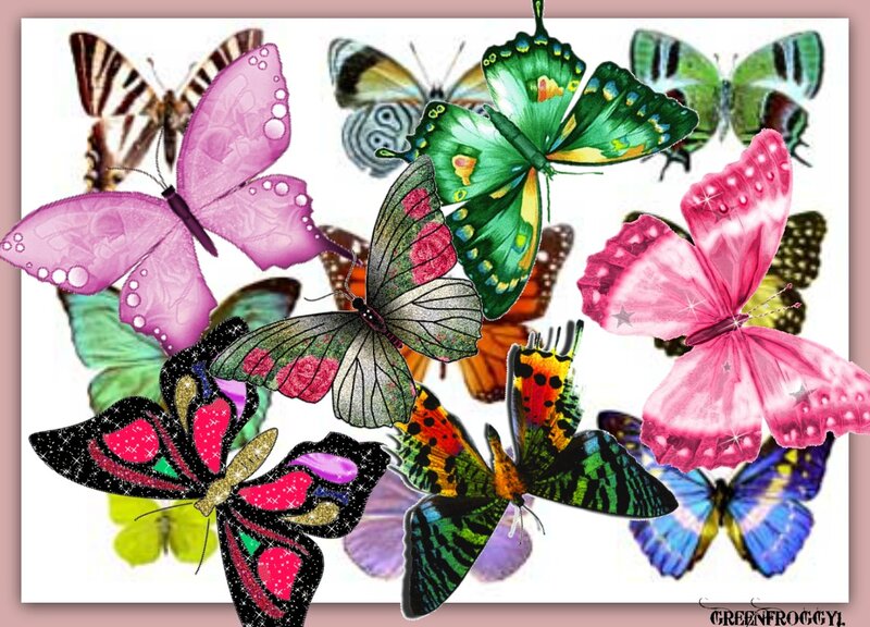 Colorful Butterflies — Pink, Vibrant