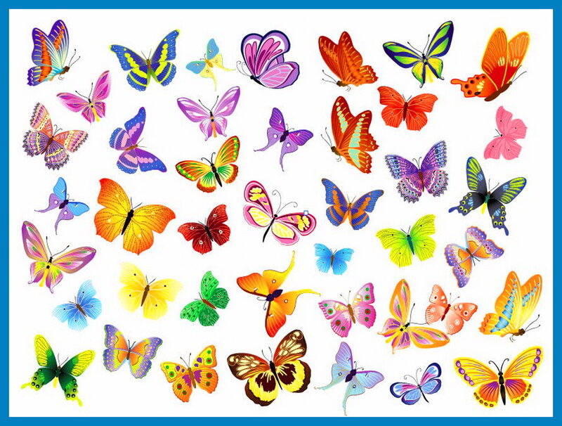 Colorful Butterflies — Yellow, Vibrant