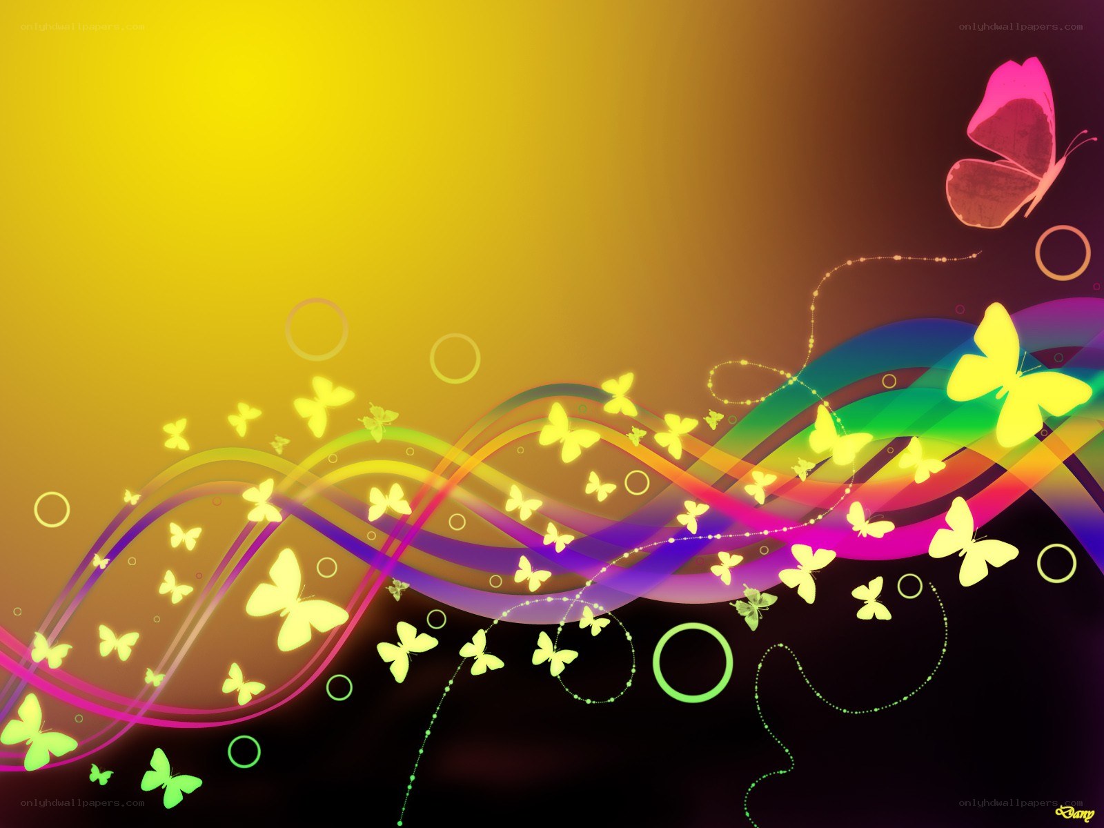 Colorful butterfly abstract background