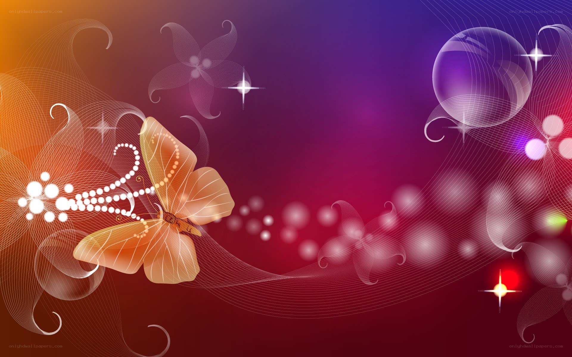Colorful butterfly abstract background