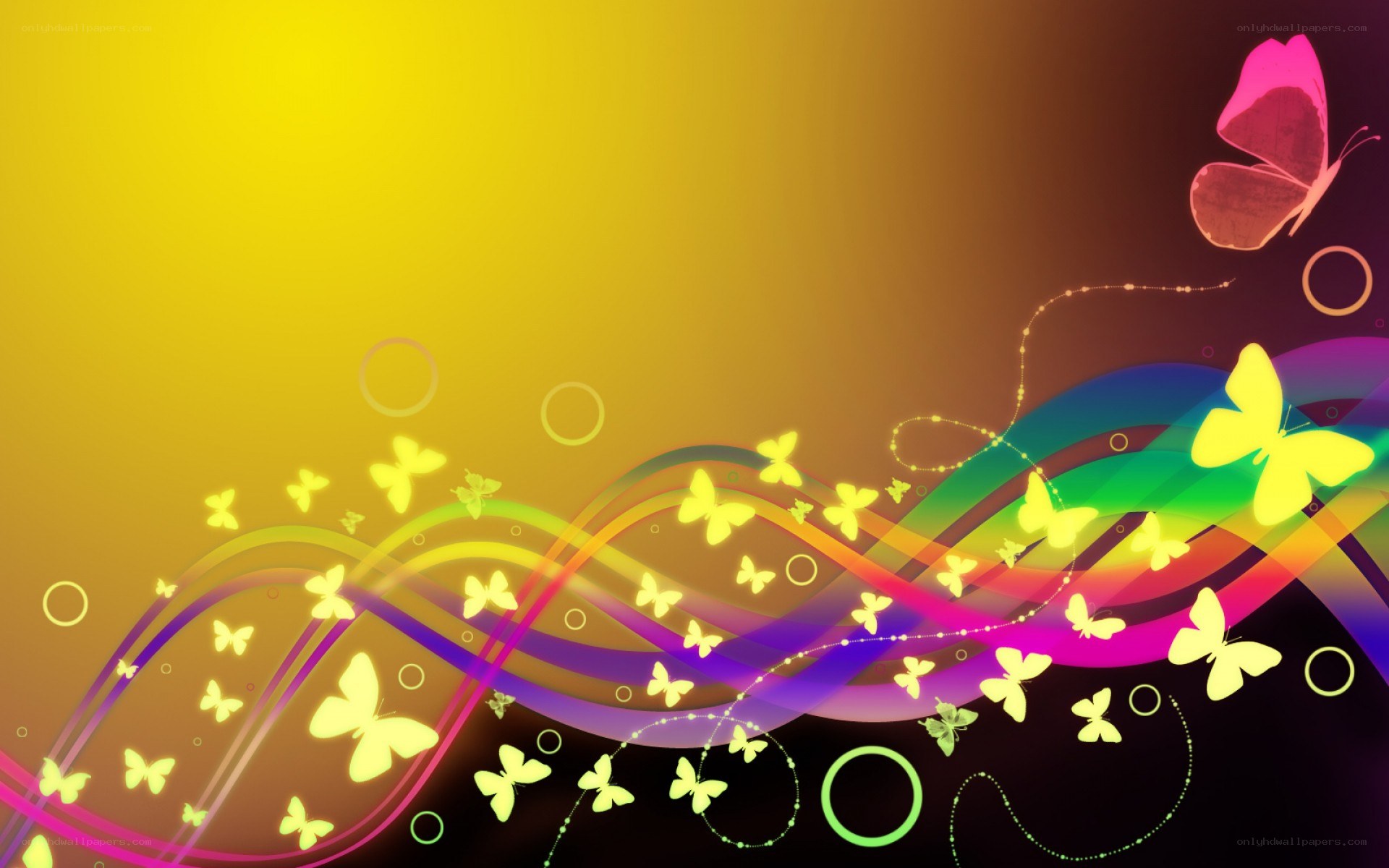 colorful butterfly abstract background
