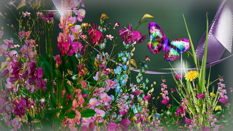 Colorful Butterfly Among Flowers