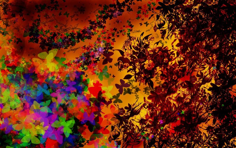 Colorful butterfly and floral abstract