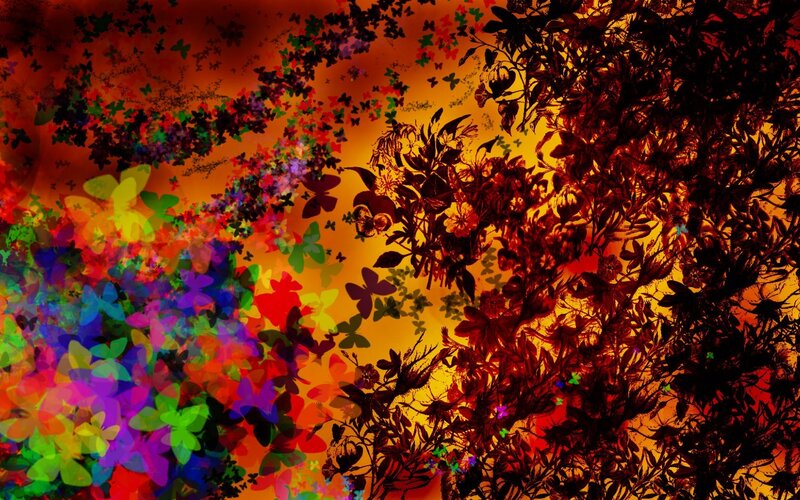 colorful butterfly and floral abstract