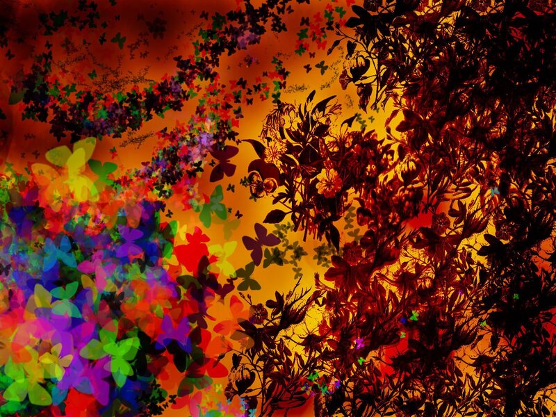 Colorful butterfly and floral abstract