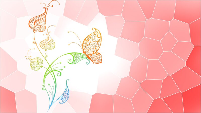 colorful butterfly and floral design
