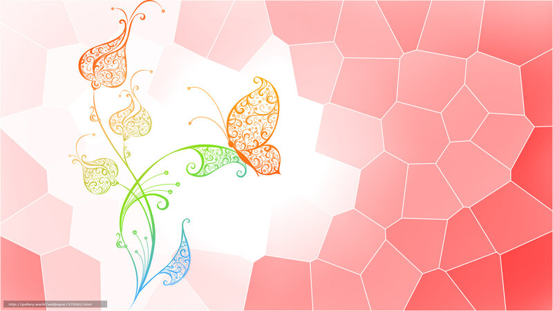 colorful butterfly and floral design